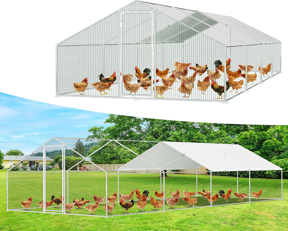 Chicken Coop Run – Large Outdoor Chicken Coop Run 3M × 8M × 2M Galvanised Steel Enclosure