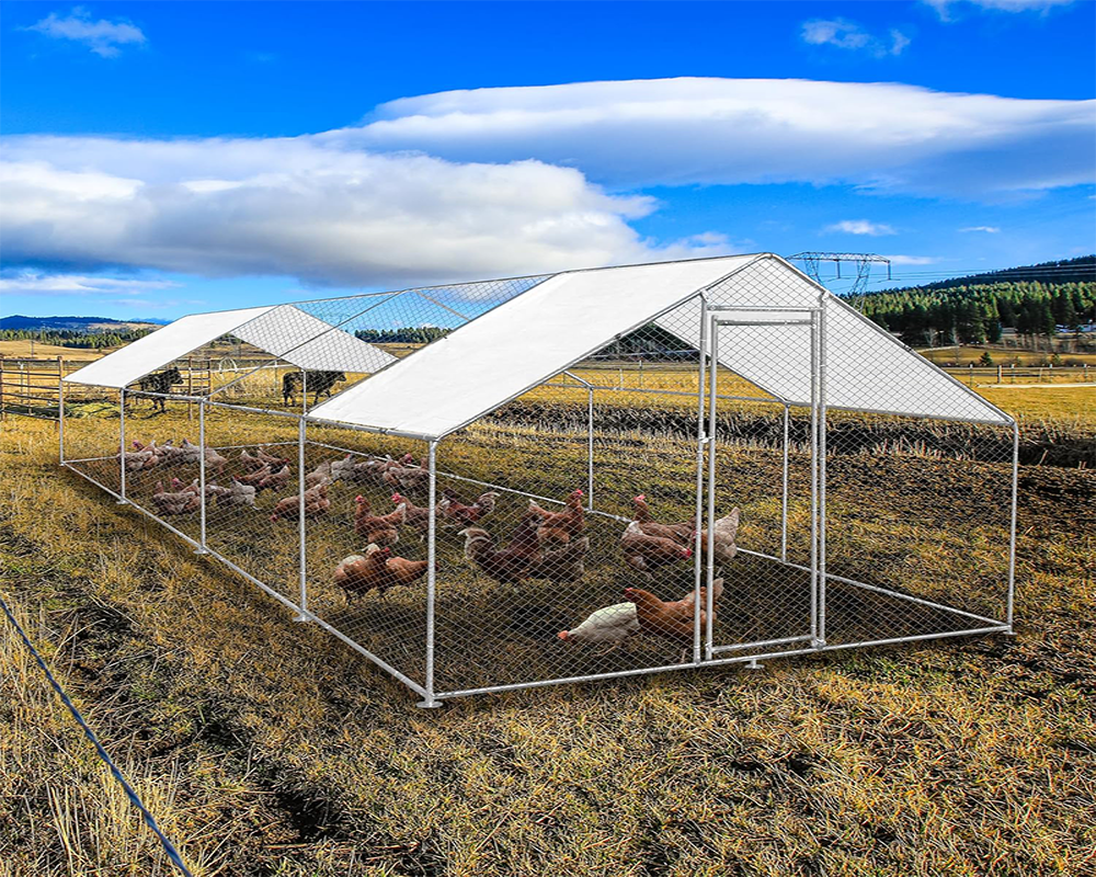 Chicken Coop Run – Large Outdoor Chicken Coop Run 3M × 8M × 2M Galvanised Steel Enclosure