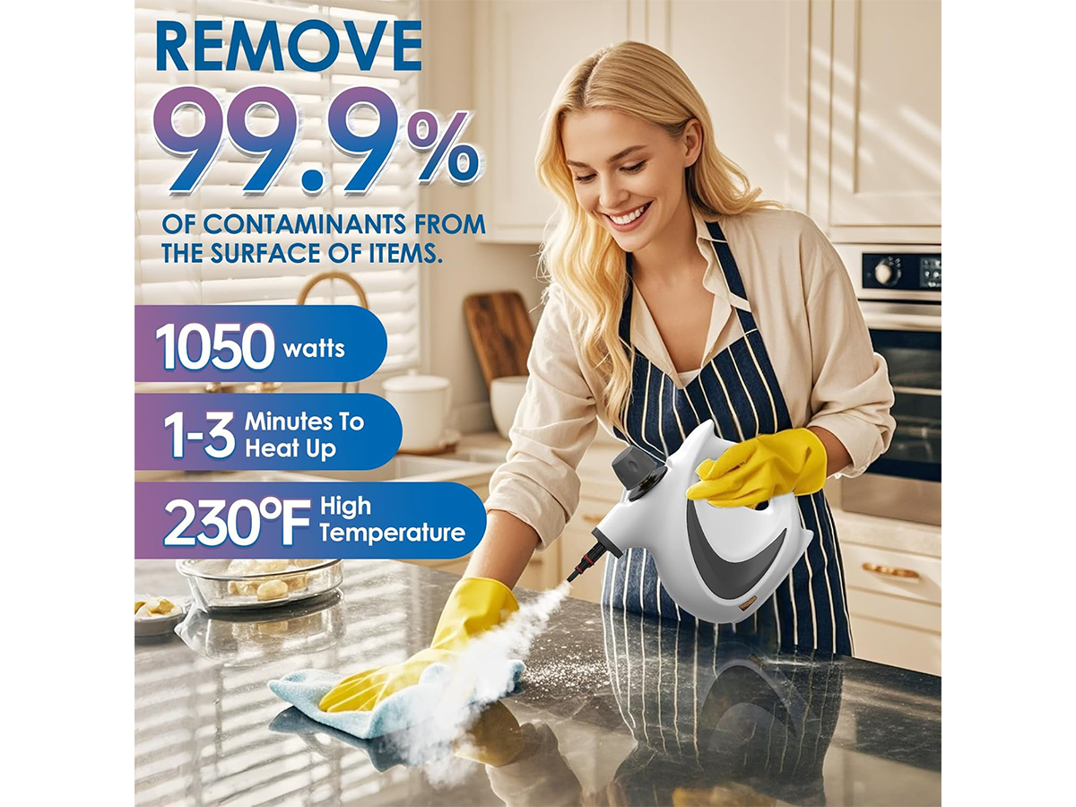 High Pressure Steam Cleaner