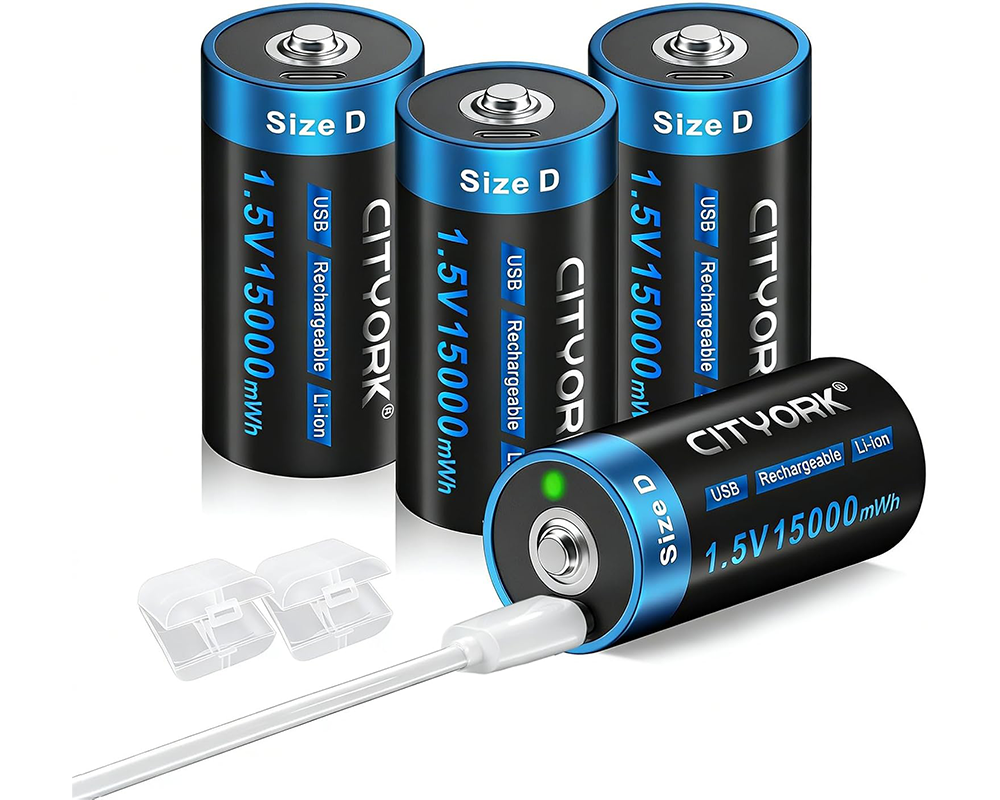 4 Pack Rechargeable D Batteries