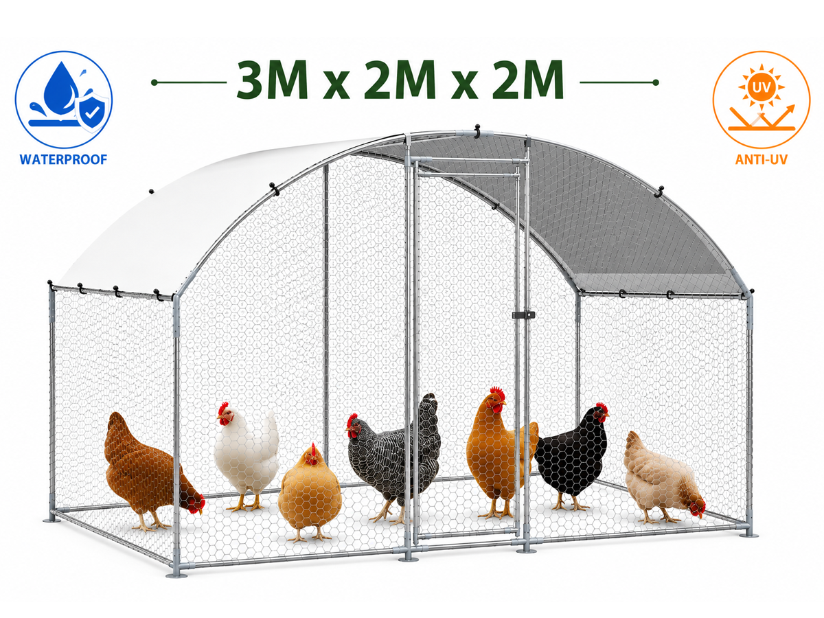 Outdoor Chicken Coop Run