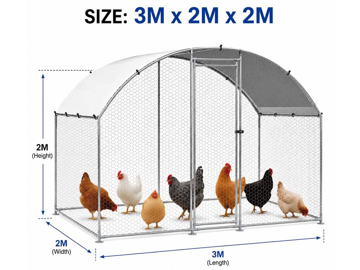 Outdoor Chicken Coop Run
