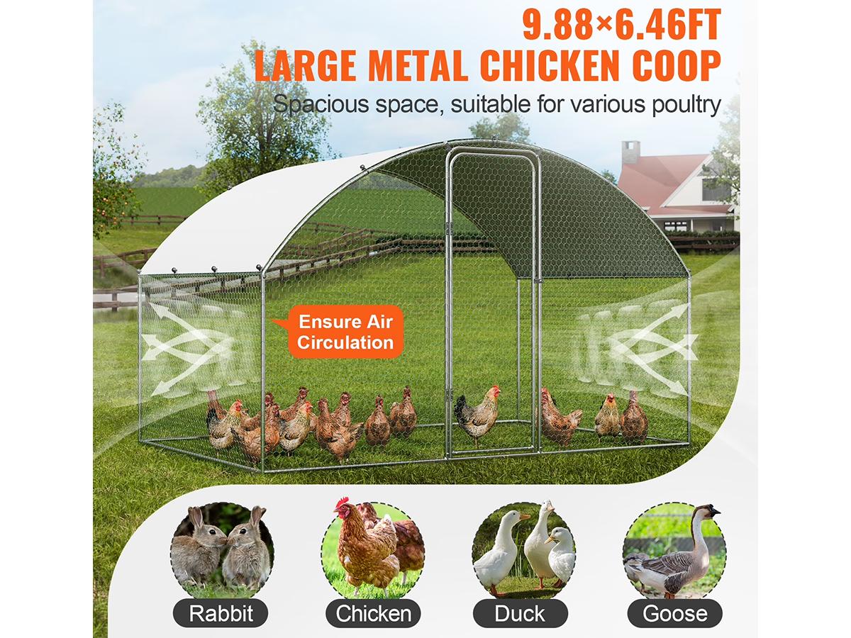 Outdoor Chicken Coop Run