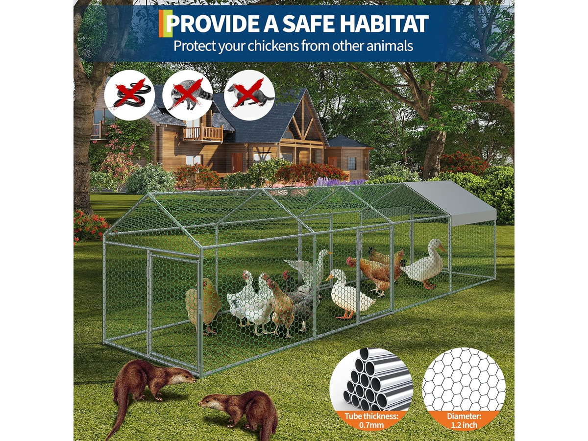 Outdoor Chicken Coop Run 3M x 1M x 1M