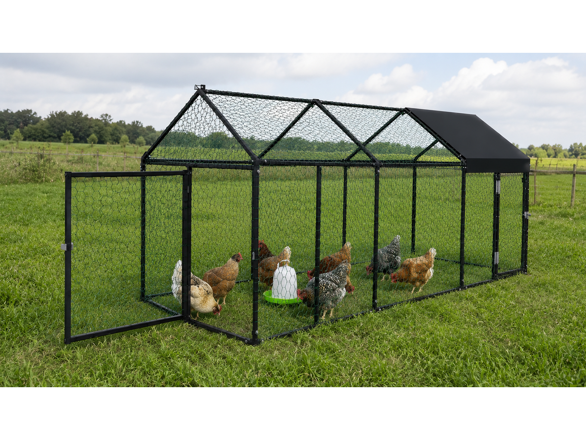 Outdoor Chicken Coop 3Mx1Mx1M