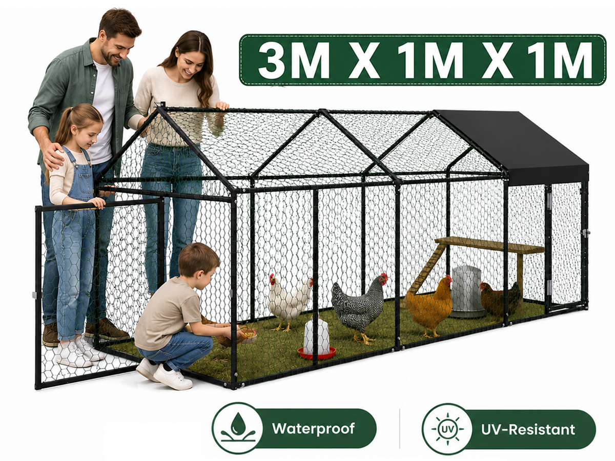 Outdoor Chicken Coop 3Mx1Mx1M