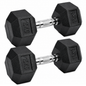 15kg Rubber Hex Dumbbells Heavy Duty Cast Iron Free Weights for Home Gym & Strength Training
