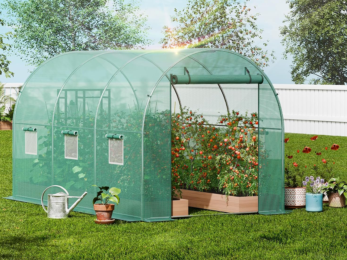 Tunnel Greenhouse Walk In Tunnel Greenhouse