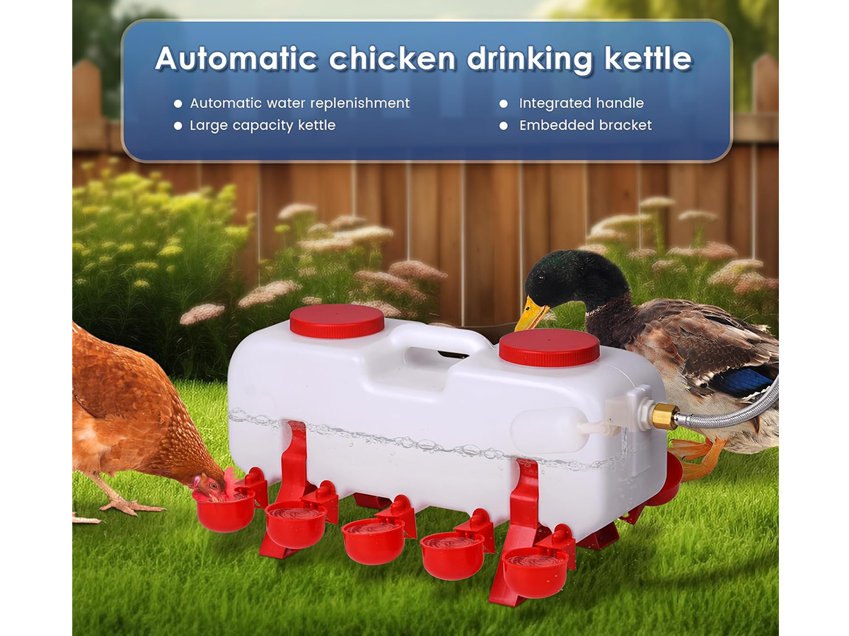 Automatic Chicken Water Feeder 11L Gallon Poultry Watering System