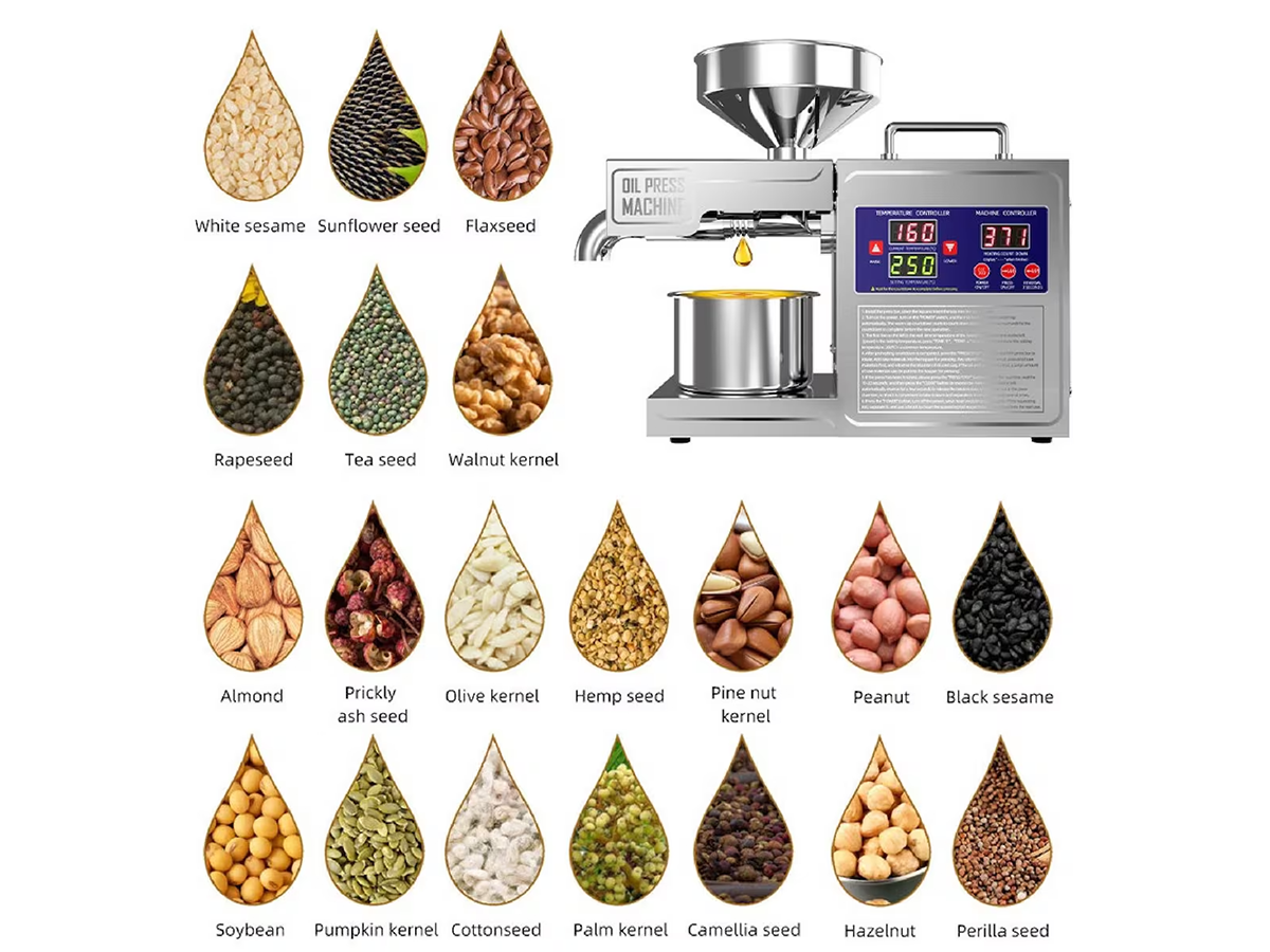 Oil Extraction Machine Electric Oil Press Maker with LCD Touch Screen