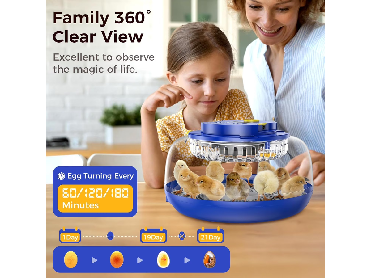 Automatic Egg Incubator Turning with Candler and Humidity Control 18 Eggs
