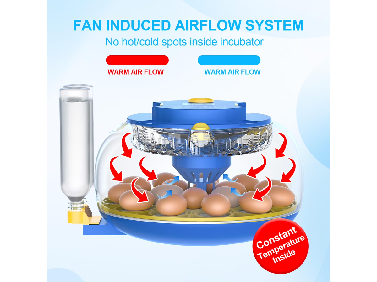 Automatic Egg Incubator Turning with Candler and Humidity Control 18 Eggs
