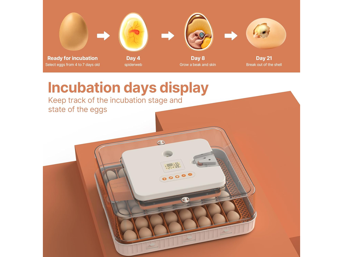 Egg Incubator Automatic Digital Hatching Machine with LCD Display and Egg Candler