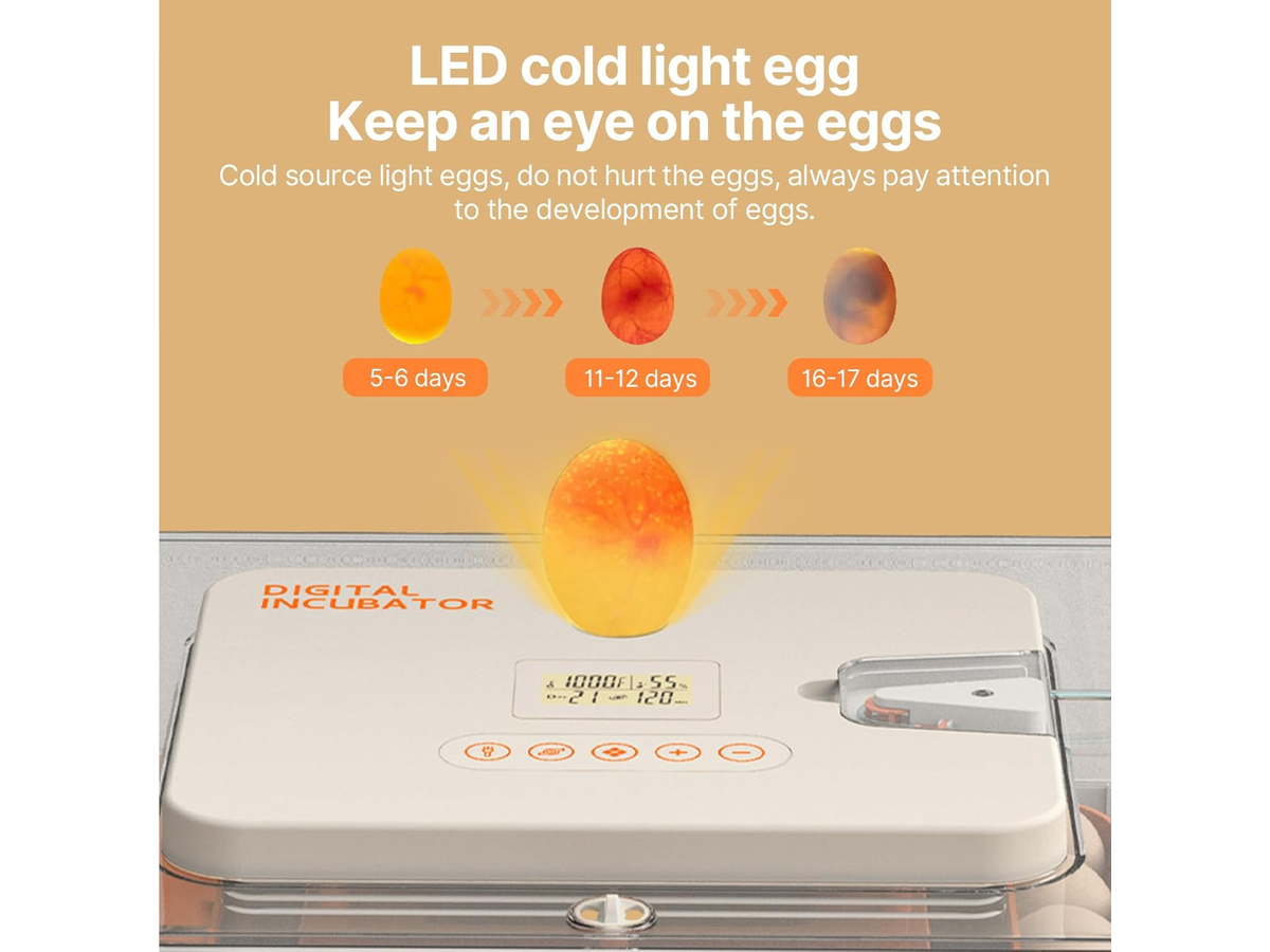 Egg Incubator Automatic Digital Hatching Machine with LCD Display and Egg Candler