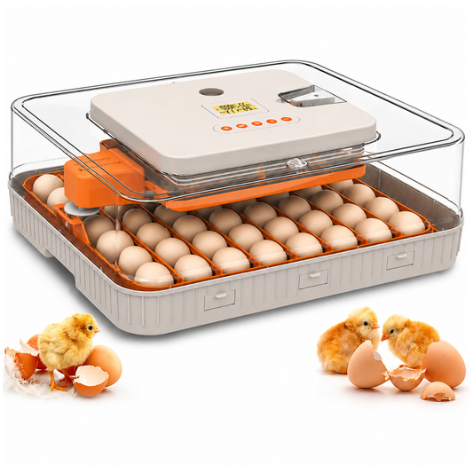 Automatic Egg Incubator Chicken, Duck, Goose and Quail Eggs