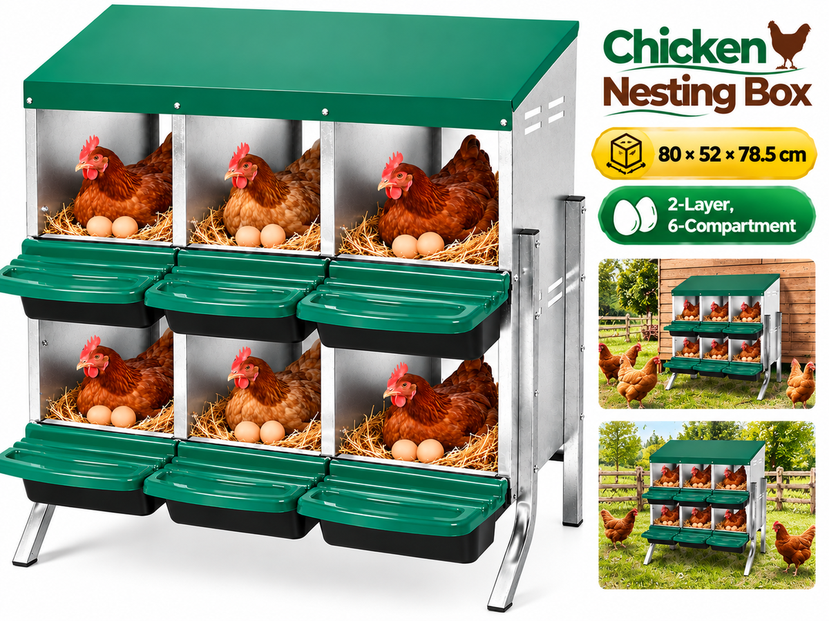Chicken Nesting Box With 6 nests
