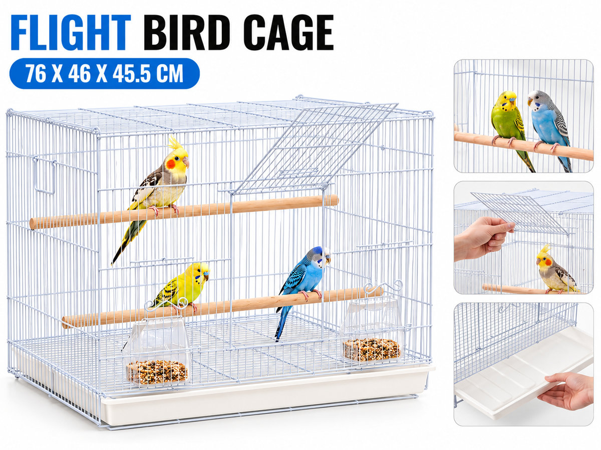 Bird Cage Metal Flight Cage with 2 Perches