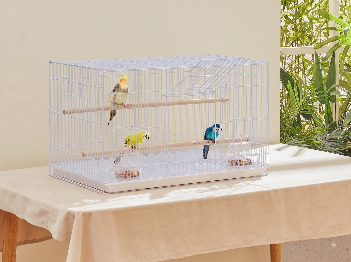 Bird Cage Metal Flight Cage with 2 Perches