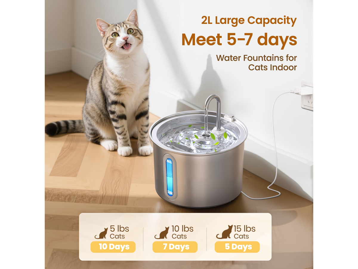 Stainless Steel Cat Water Fountain - 2L Water Dispenser with Dual Filter System