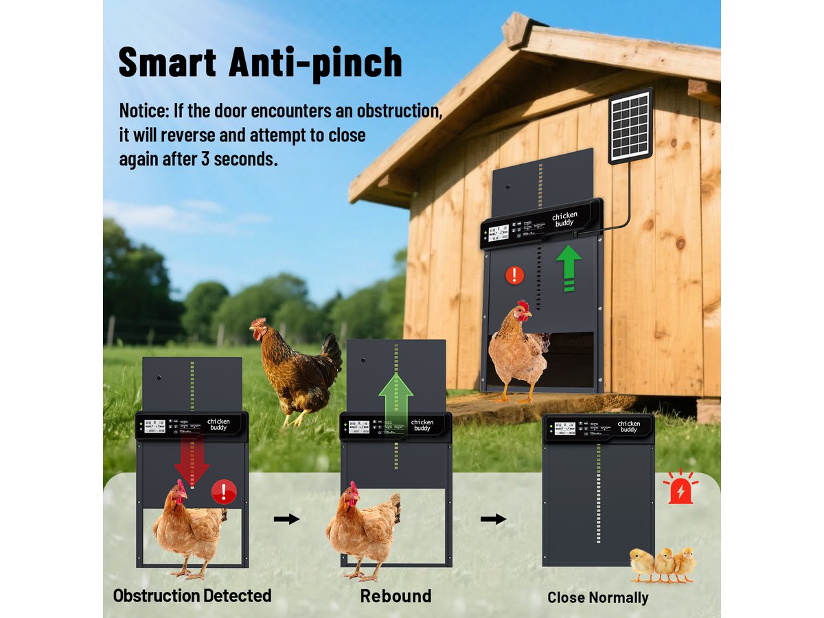Solar Powered Automatic Chicken Coop Door