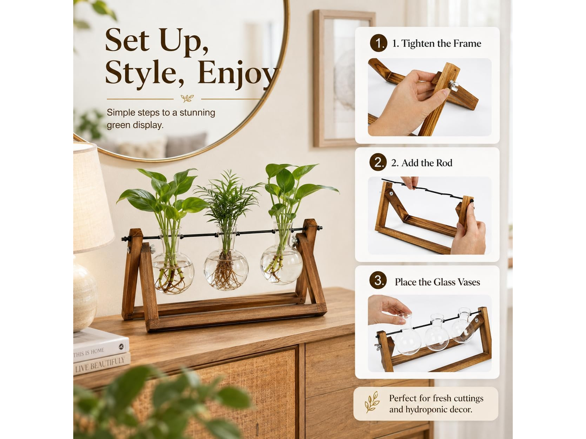 Plant Terrarium