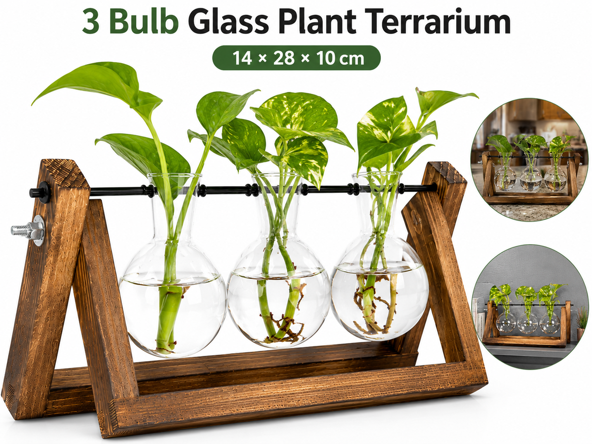 Plant Terrarium
