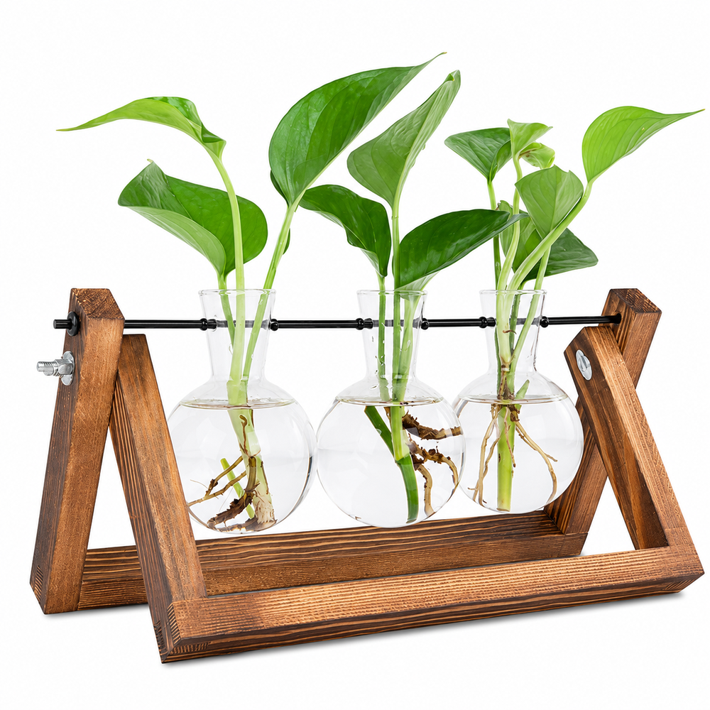 Plant Terrarium