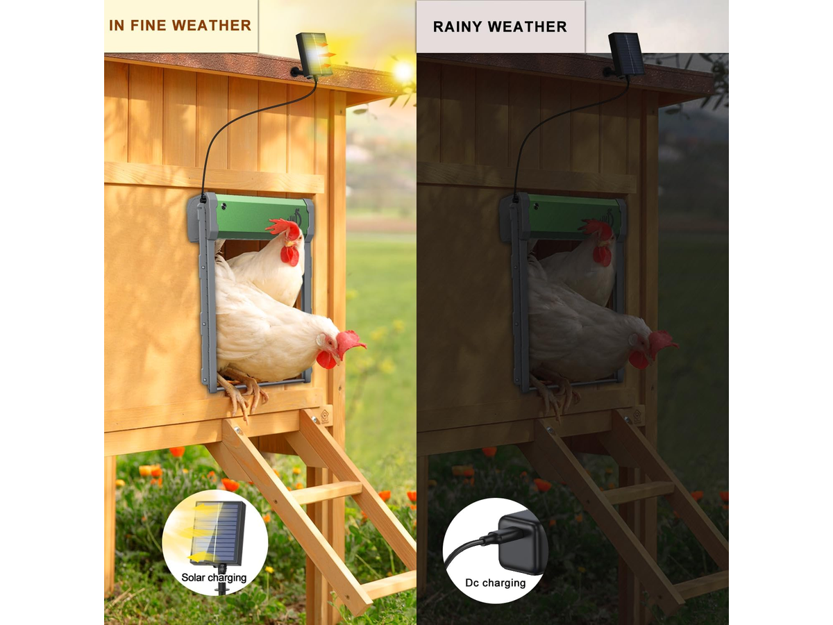 Automatic Chicken Coop Door Solar Powered Coop Door Opener with Remote Control