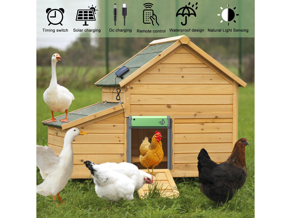 Automatic Chicken Coop Door Solar Powered Coop Door Opener with Remote Control