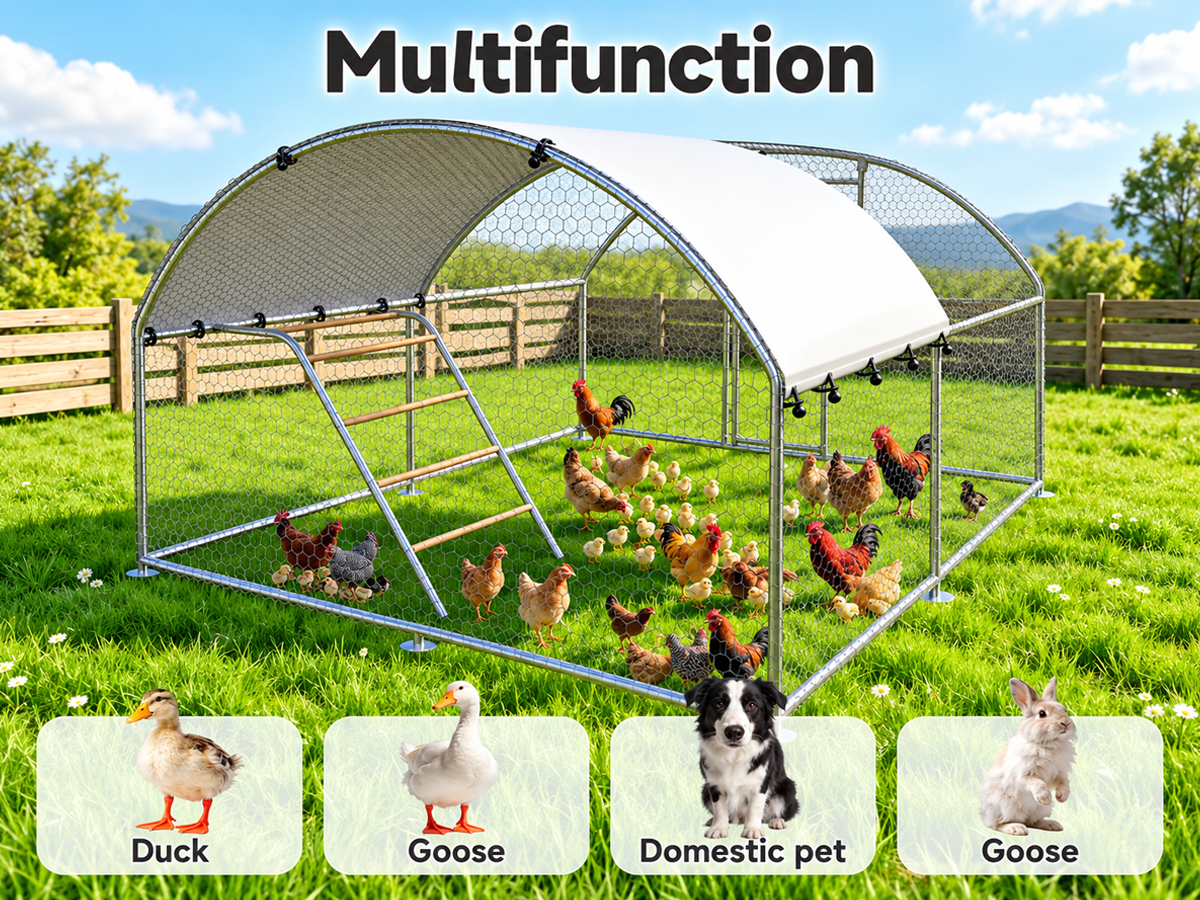 Large Chicken Coop Run 305 X 402 X 195 CM