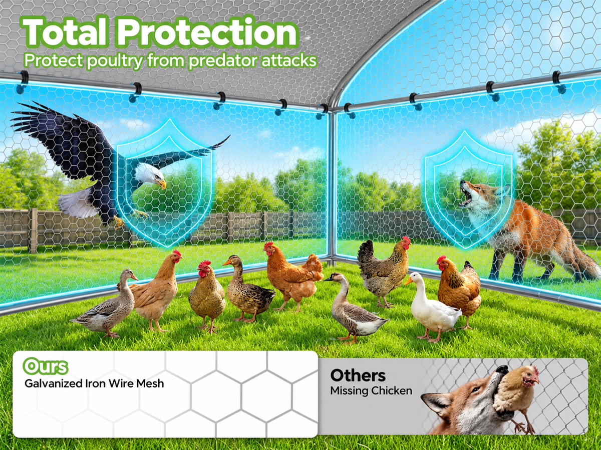 Large Chicken Coop Run 305 X 402 X 195 CM