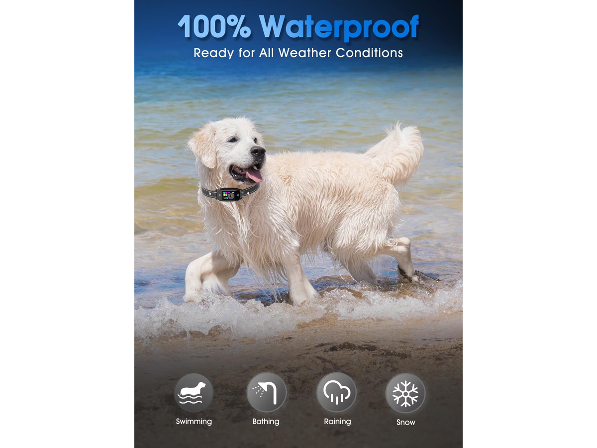 Smart Bark Control Collar AI Detection IP68 Waterproof Rechargeable