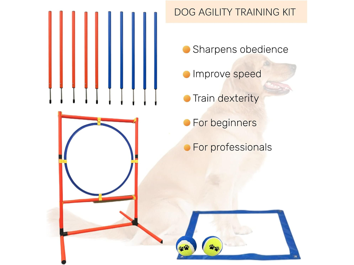 Dog Agility Training Equipment Set Backyard Obstacle Course with Tunnel
