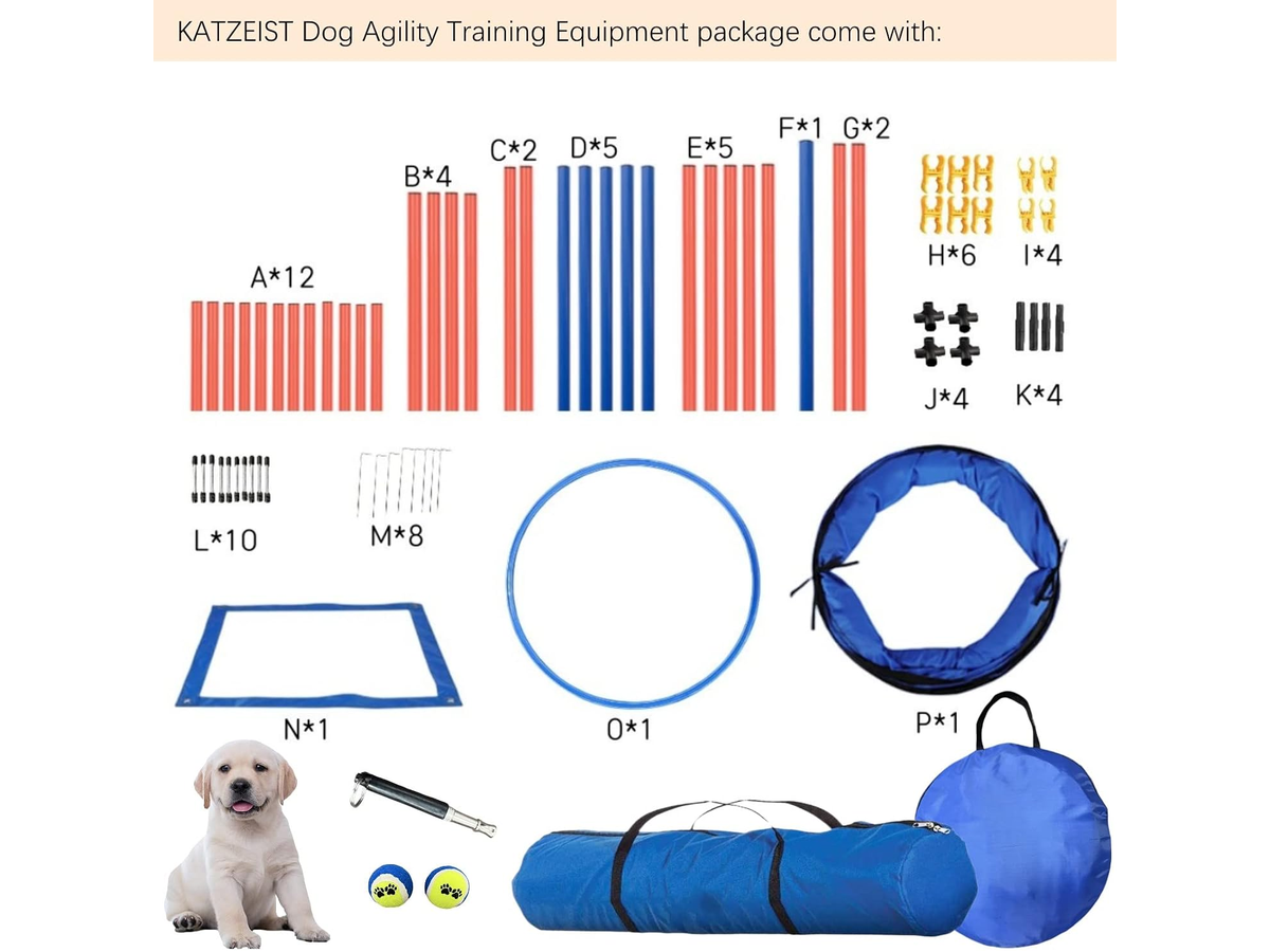 Dog Agility Training Equipment Set Backyard Obstacle Course with Tunnel