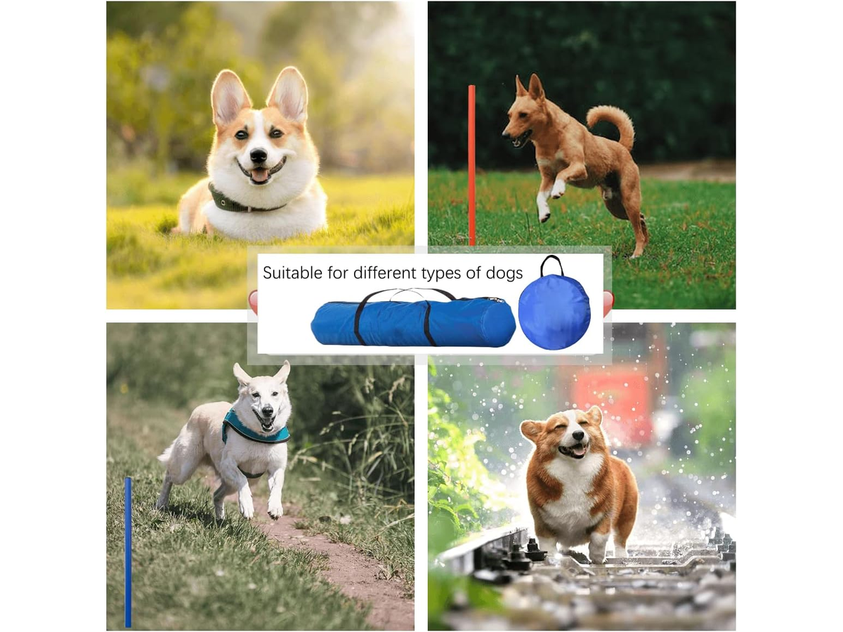 Dog Agility Training Equipment Set Backyard Obstacle Course with Tunnel