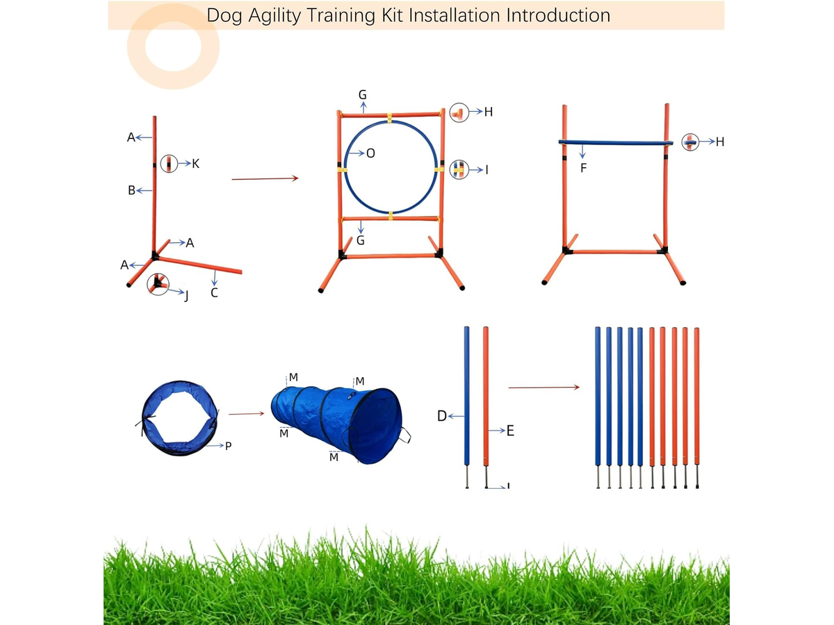 Dog Agility Training Equipment Set Backyard Obstacle Course with Tunnel