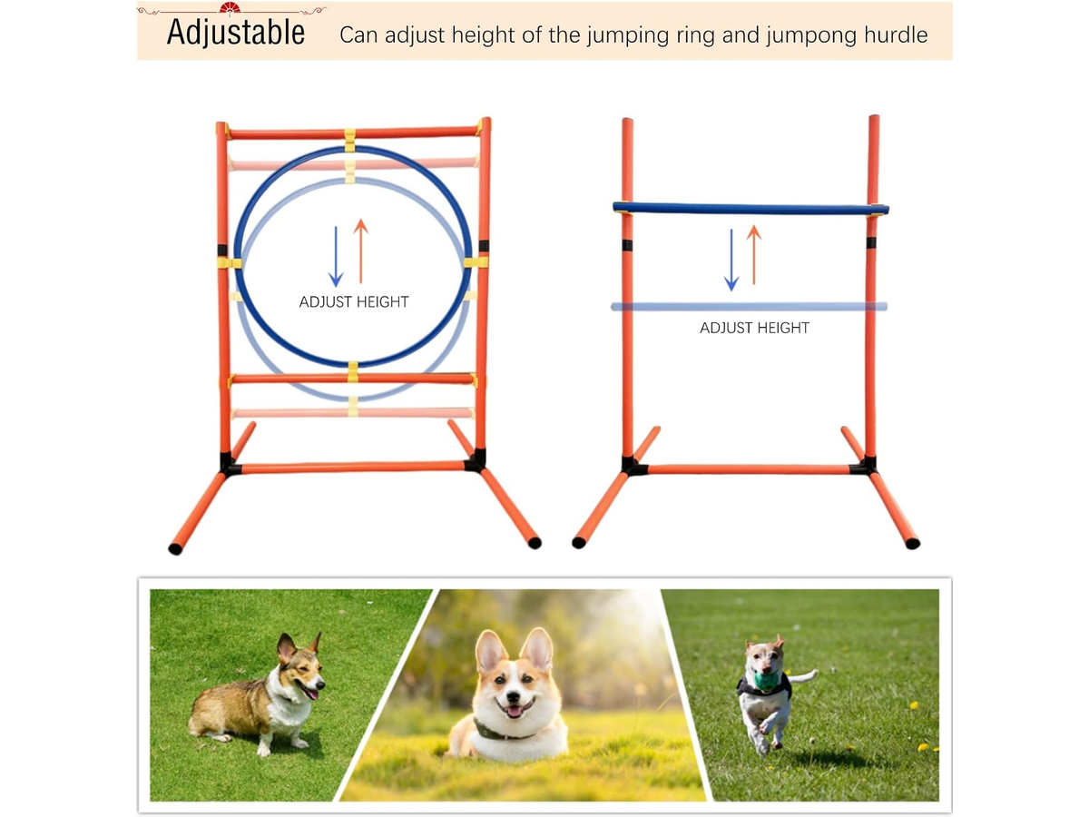 Dog Agility Training Equipment Set Backyard Obstacle Course with Tunnel