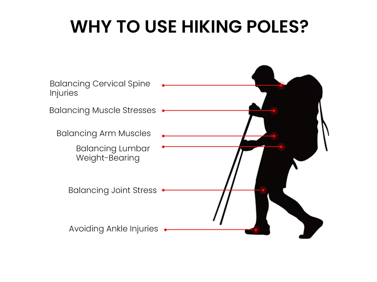 Collapsible Trekking Poles 2 Pack Adjustable Quick Lock Walking Sticks with EVA Handles
