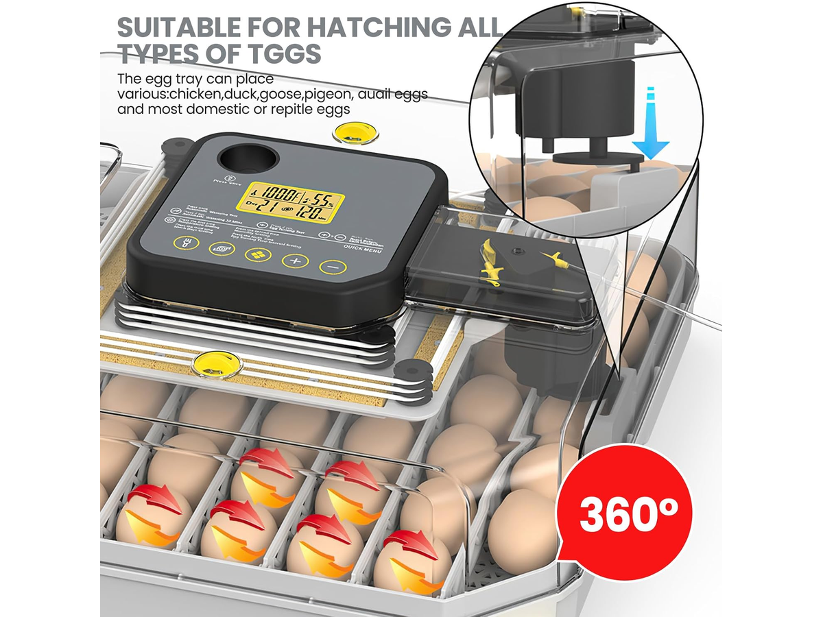 Egg Incubator 48 Egg Automatic Turning Hatcher