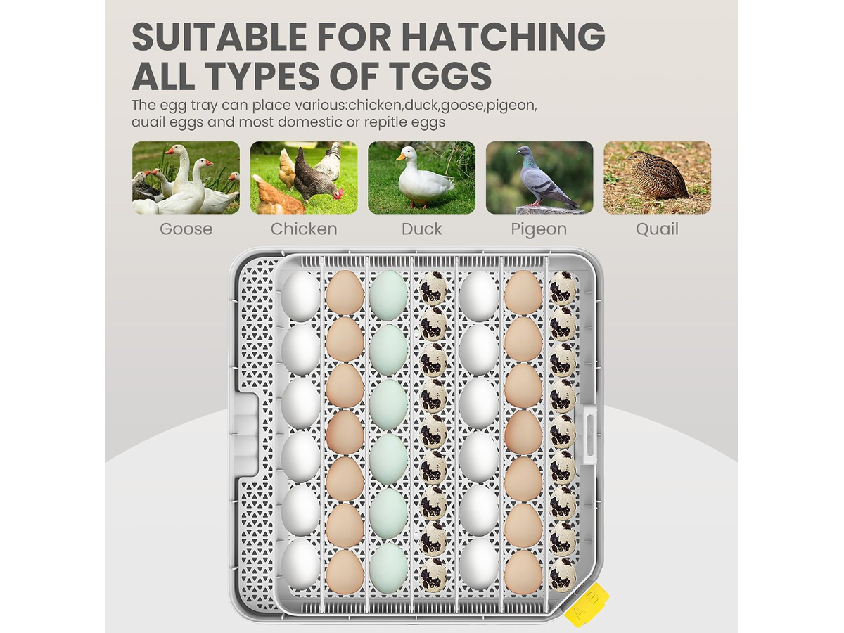Egg Incubator 48 Egg Automatic Turning Hatcher