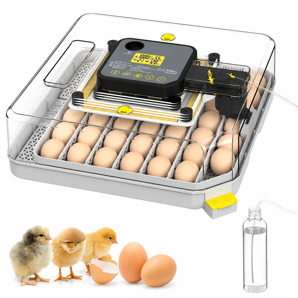 Egg Incubator 48 Egg Automatic Turning Hatcher