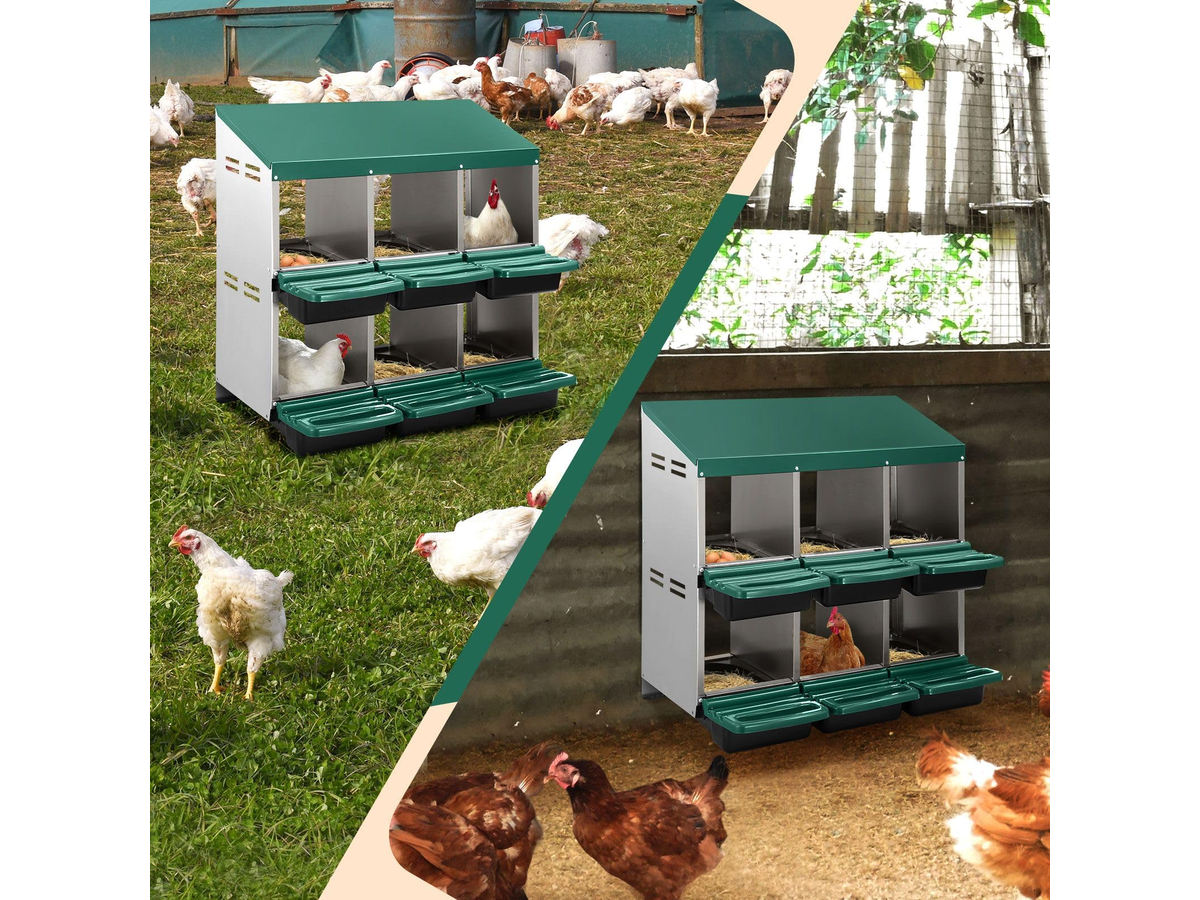 Chicken Nesting Box 2 Tier 6 Hole Roll Away Hen Laying Box with Perches Ventilation