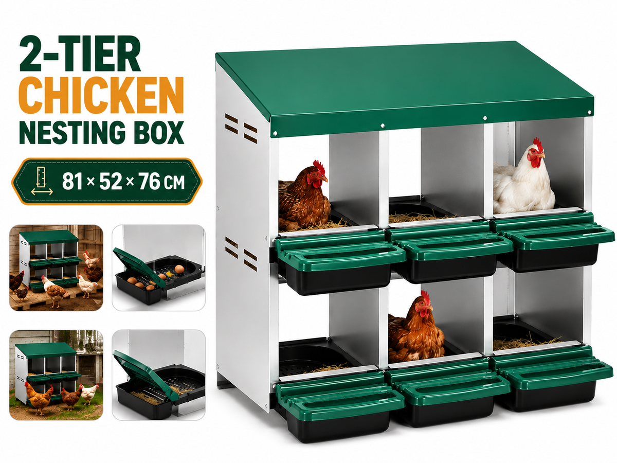 Chicken Nesting Box 2 Tier 6 Hole Roll Away Hen Laying Box with Perches Ventilation