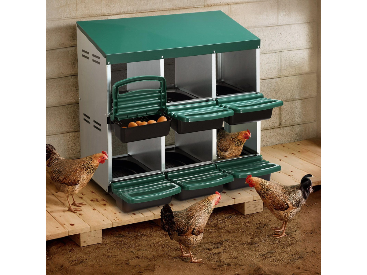 Chicken Nesting Box 2 Tier 6 Hole Roll Away Hen Laying Box with Perches Ventilation