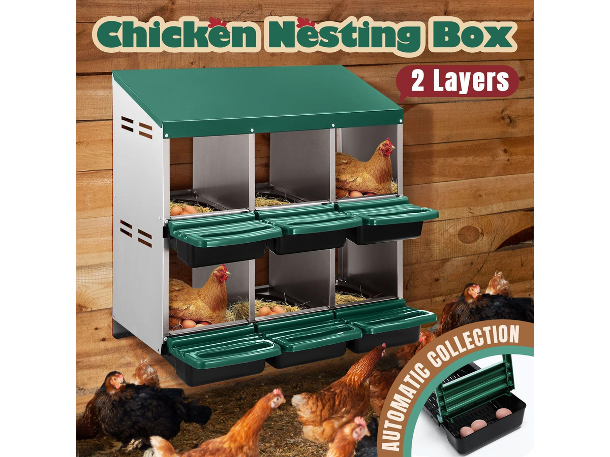Chicken Nesting Box 2 Tier 6 Hole Roll Away Hen Laying Box with Perches Ventilation