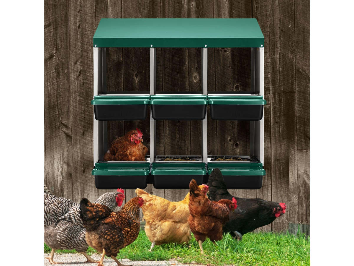 Chicken Nesting Box 2 Tier 6 Hole Roll Away Hen Laying Box with Perches Ventilation