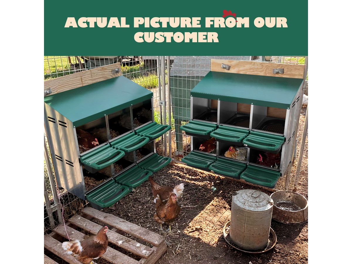 Chicken Nesting Box 2 Tier 6 Hole Roll Away Hen Laying Box with Perches Ventilation