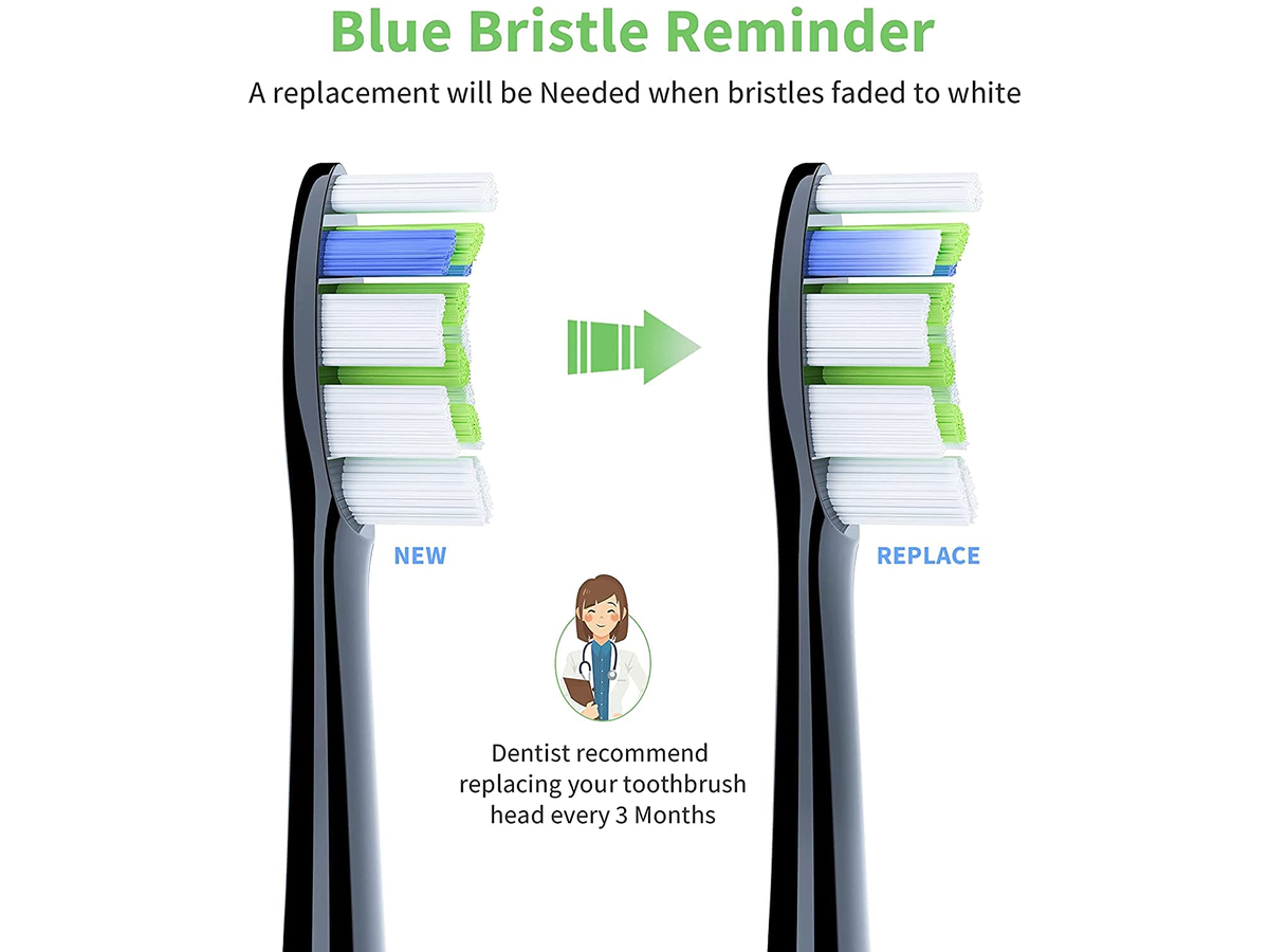 8 Pack Replacement Toothbrush Heads Philips Sonicare