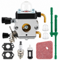 Carburetor Carb Air Fuel Filter Set
