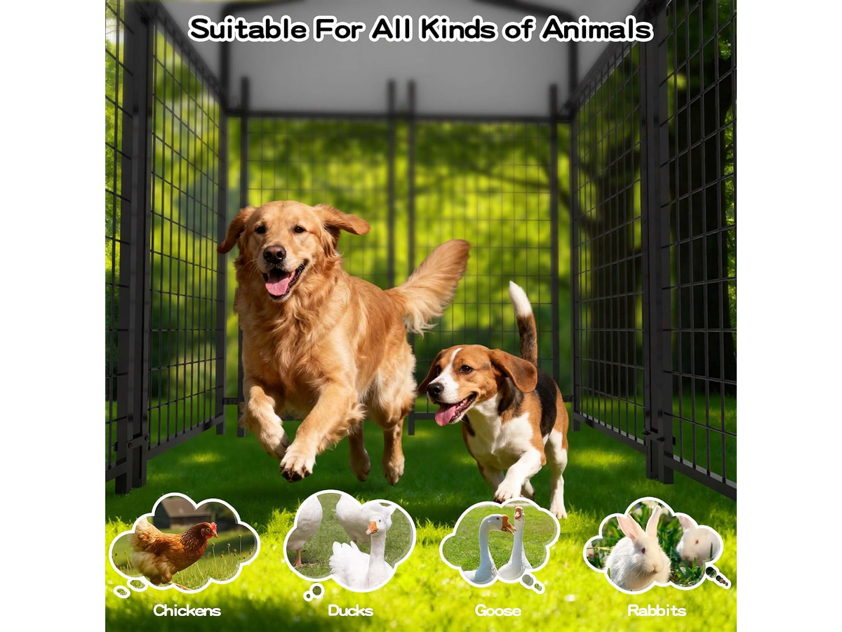 Dog Kennel Dog Run Extra Large